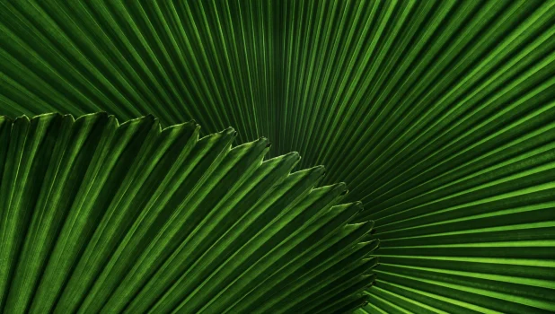david-clode-xNSCi_K179c-unsplash